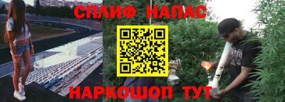 скорость Будённовск
