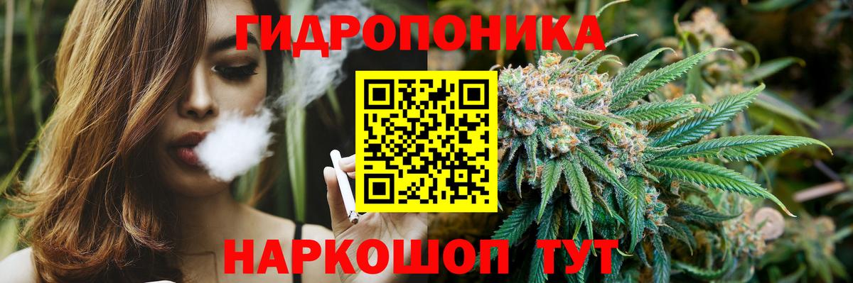 Шишки марихуана индика Новодвинск